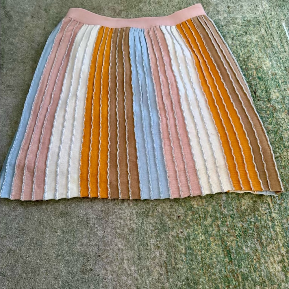 Multicolor Striped Women's Skirt